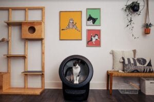 Litter Robot 4 de Whisker