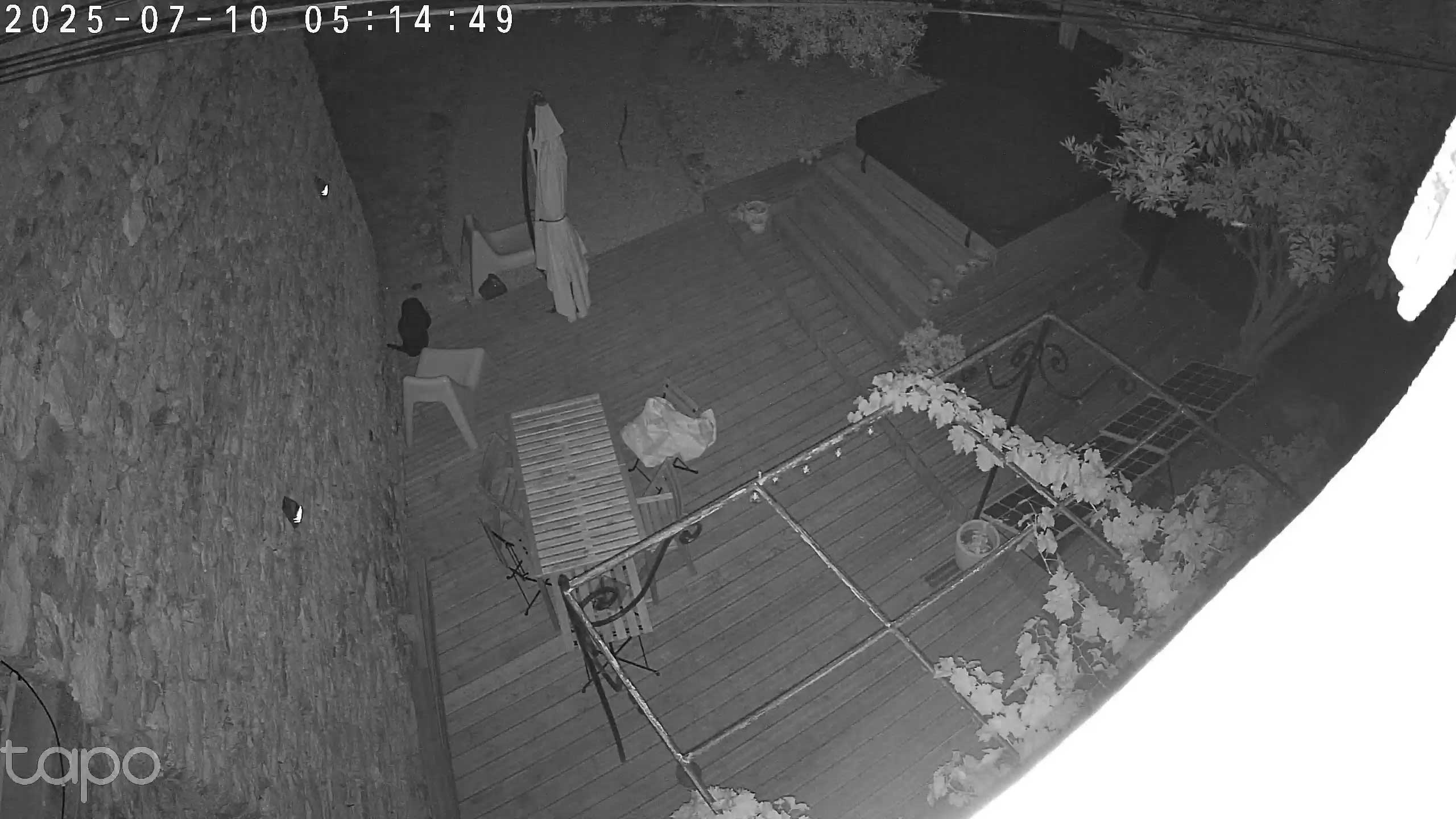 Image nocturne capturée en mode infrarouge par la caméra