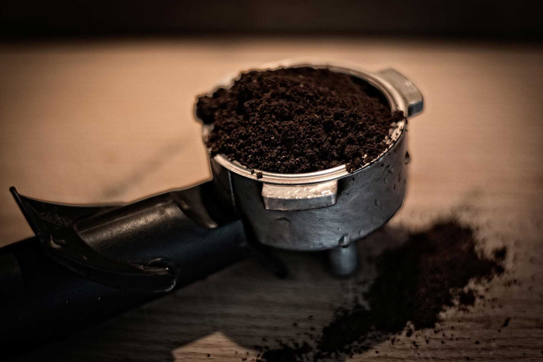 Marc de café séché prêt à être utilisé comme fertilisant naturel