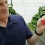 James Dyson et son projet de ferme agricole high tech