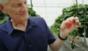 James Dyson et son projet de ferme agricole high tech
